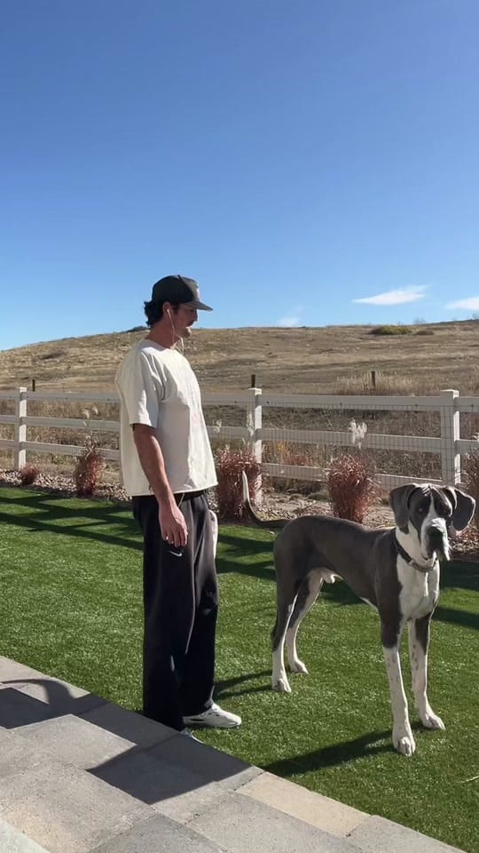 Post 8 by Ryan on TikTok (video)