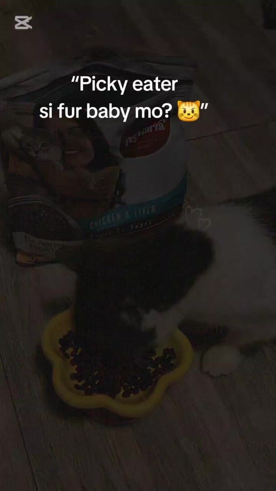 Post 9 by Nurse_Jennie🌻 ≽^ ˕ • ྀི≼ on TikTok (video)