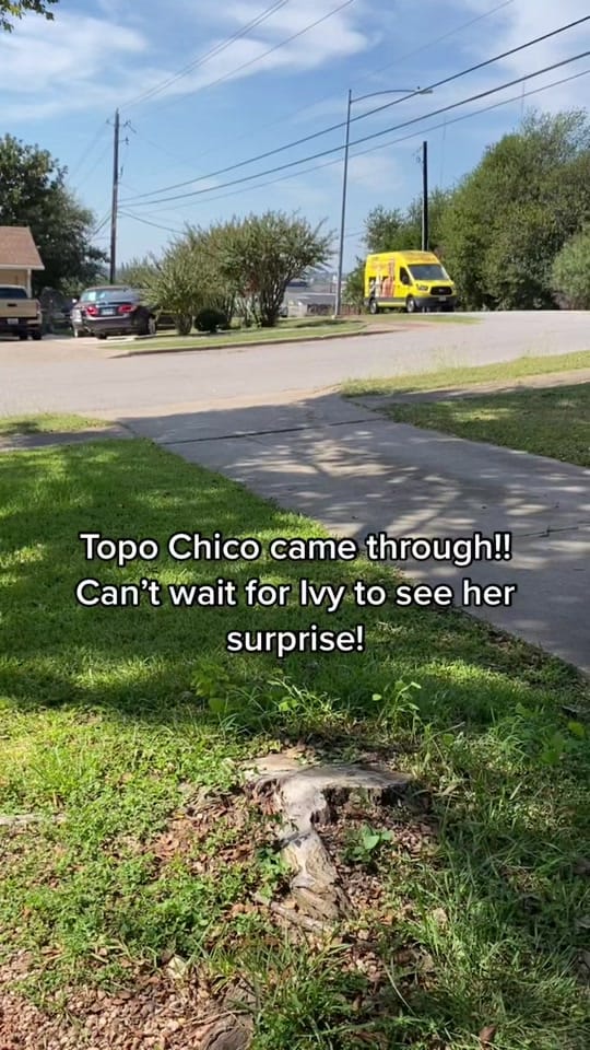 Post 9 by Liberty Makes on TikTok (video)