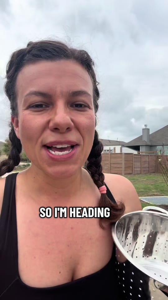 Post 1 by Liberty Makes on TikTok (video)