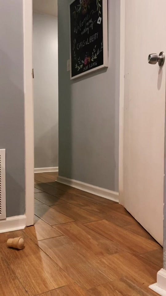 Post 10 by Liberty Makes on TikTok (video)