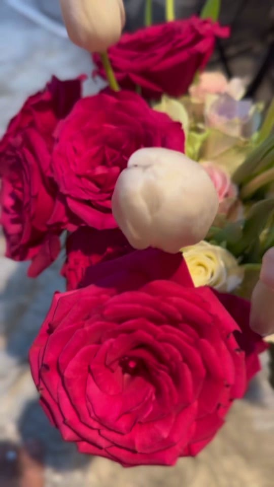 Post 10 by Suhana_ahmed🦋 on TikTok (video)