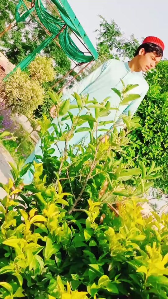 Post 3 by M.Bilal B❤️S on TikTok (video)