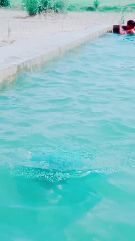 Post 10 by M.Bilal B❤️S on TikTok (video)