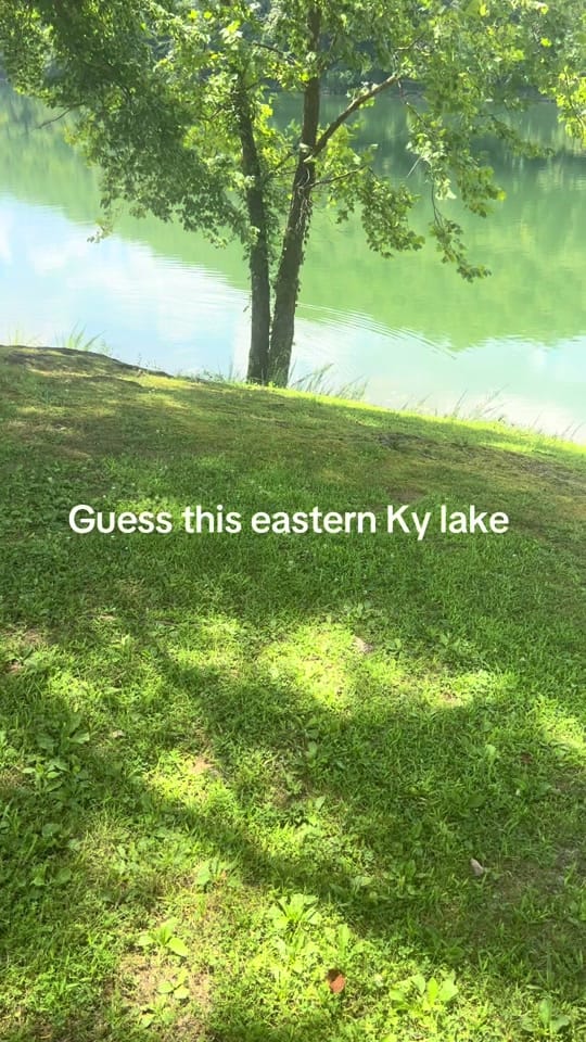 Post 5 by Amanda on TikTok (video)