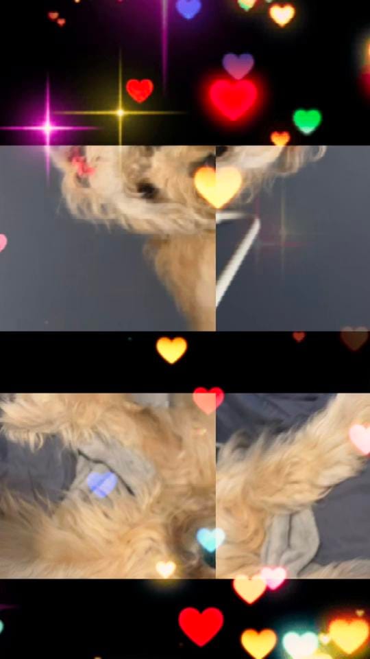 Post 2 by Amanda on TikTok (video)