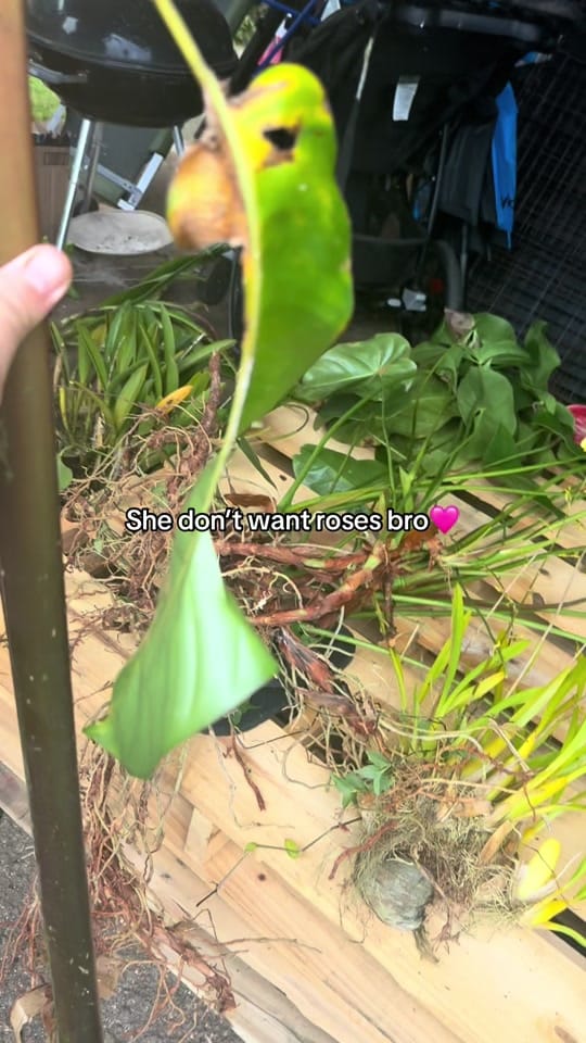 Post 9 by NāWāhineLole🧵🪡✂️💓 on TikTok (video)