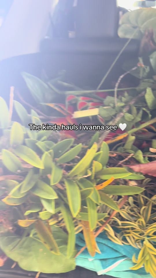 Post 5 by NāWāhineLole🧵🪡✂️💓 on TikTok (video)