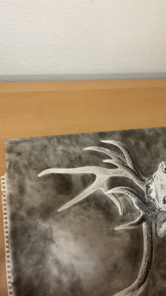 Post 3 by Derek Stevenson Art on TikTok (video)