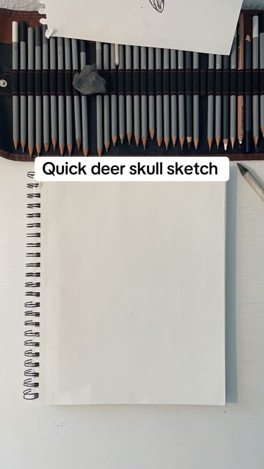 Post 7 by Derek Stevenson Art on TikTok (video)