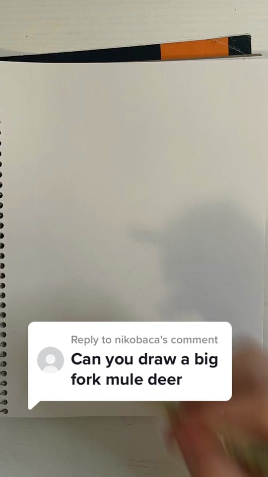 Post 8 by Derek Stevenson Art on TikTok (video)