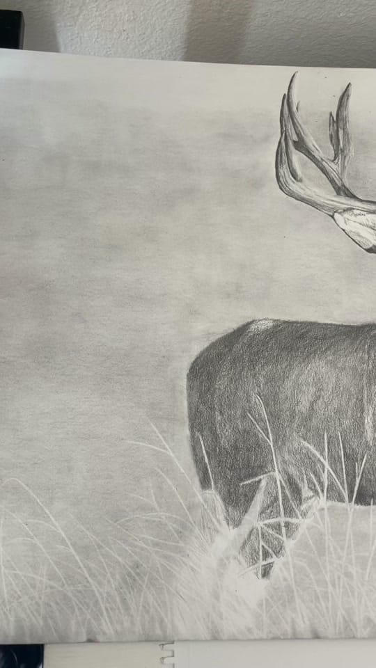 Post 9 by Derek Stevenson Art on TikTok (video)