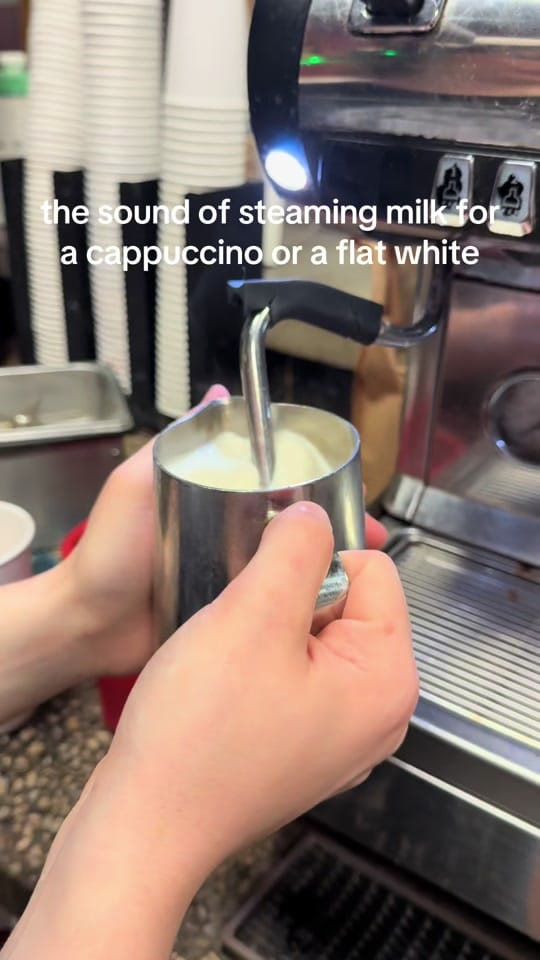 Post 5 by TreeCityCoffee on TikTok (video)