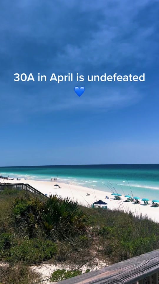 Post 10 by Jared Herzog on TikTok (video)