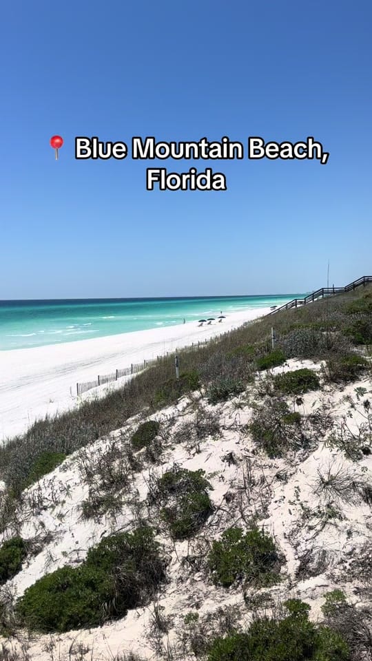 Post 4 by Jared Herzog on TikTok (video)