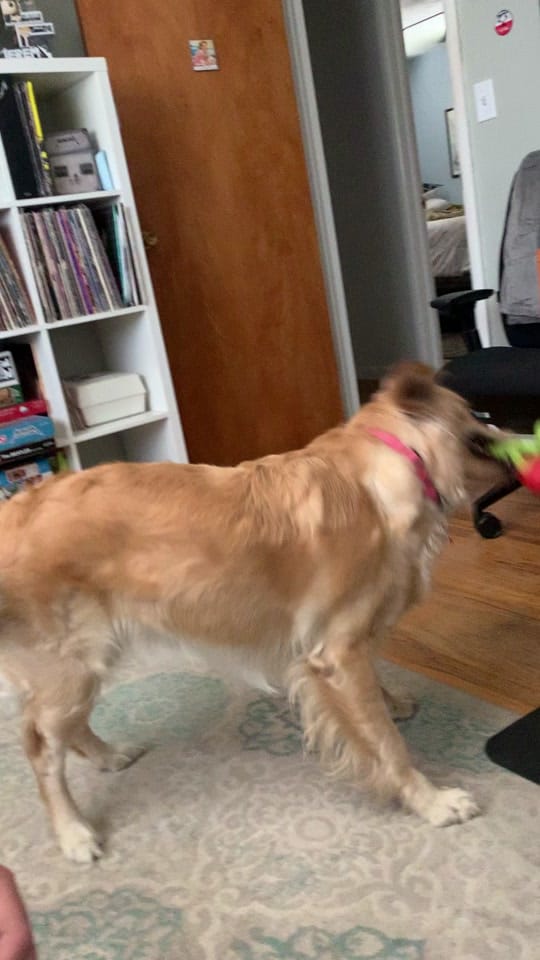 Post 1 by Hails.drawings on TikTok (video)