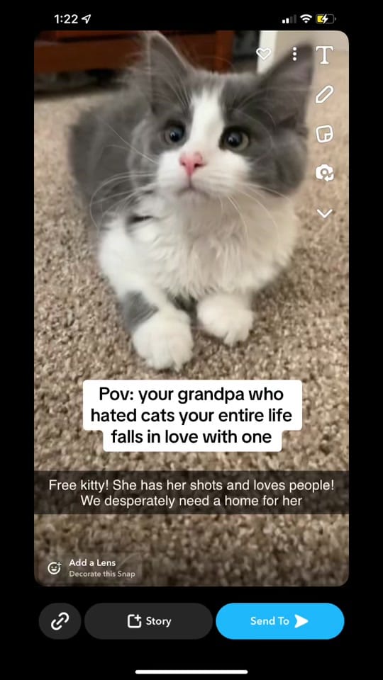 Post 9 by Hails.drawings on TikTok (video)