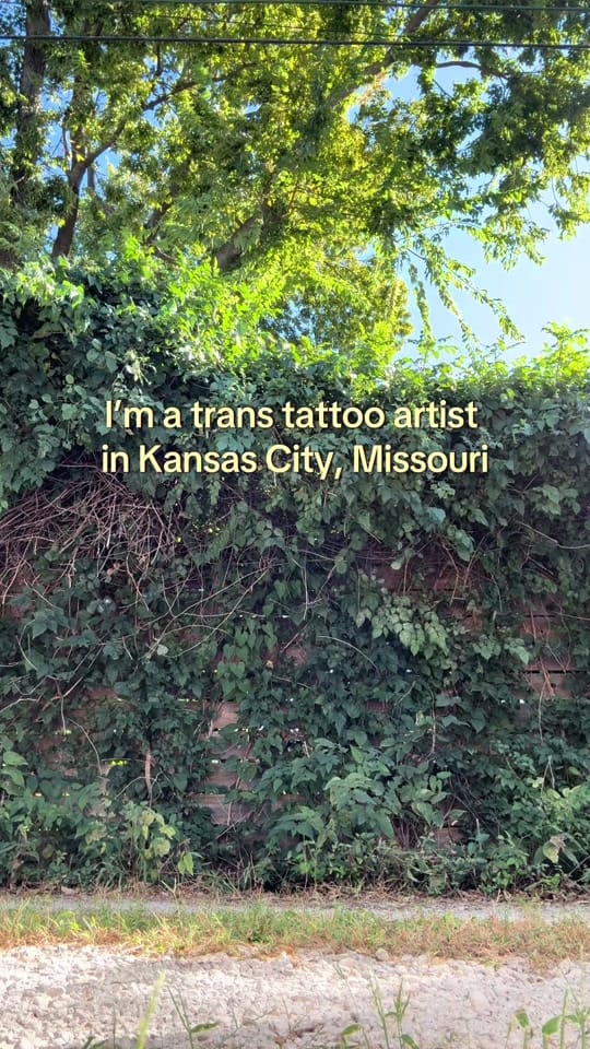 Post 1 by Theo on TikTok (video)