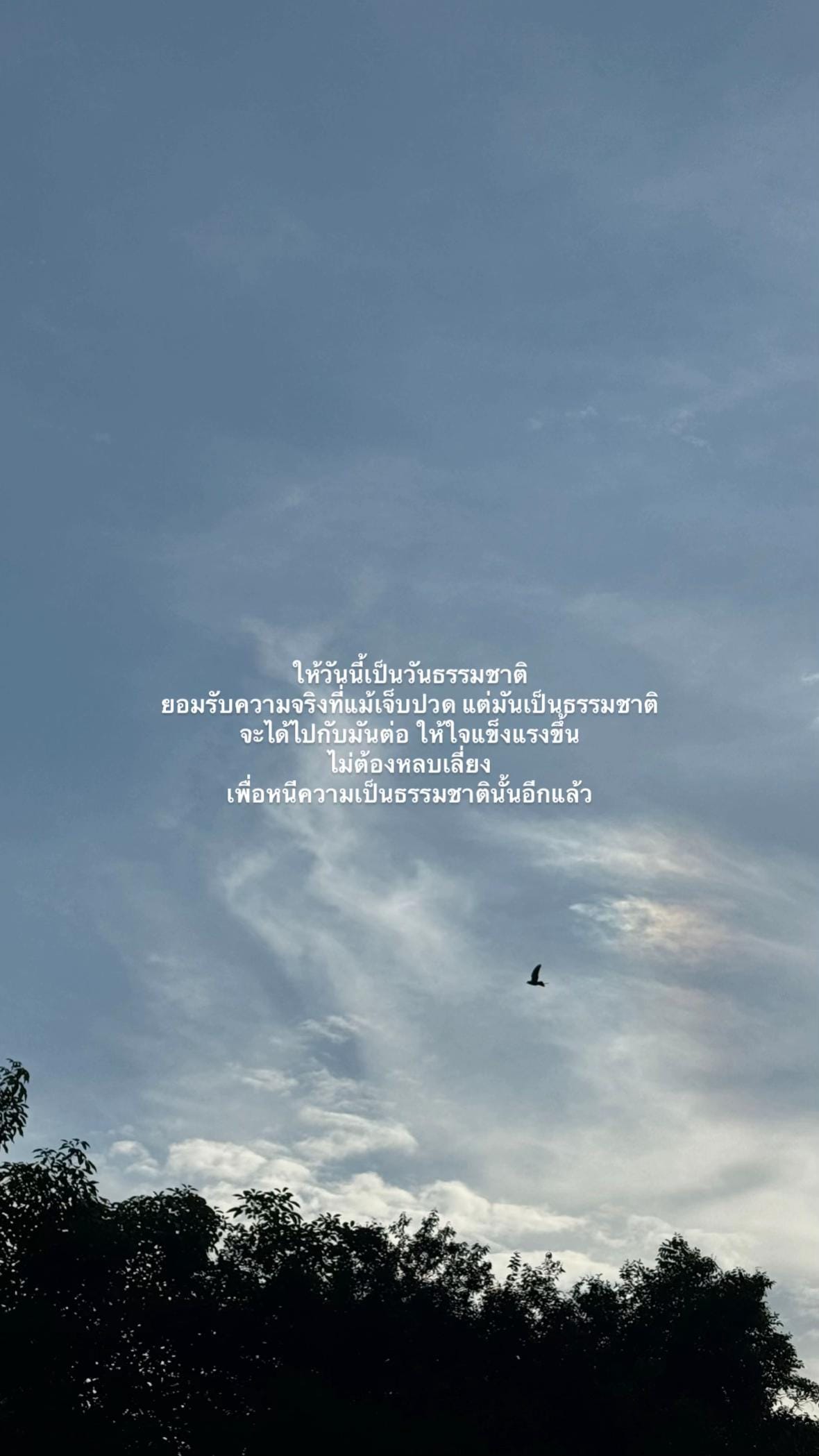 Post 5 by Chawisawn on TikTok (video)