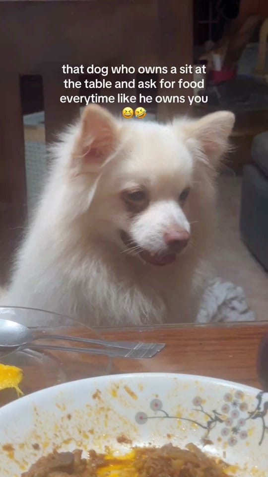 Post 4 by Nurse Hanoosh 🇵🇭🇬🇧 on TikTok (video)