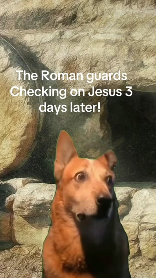 Post 3 by Gigi on TikTok (video)