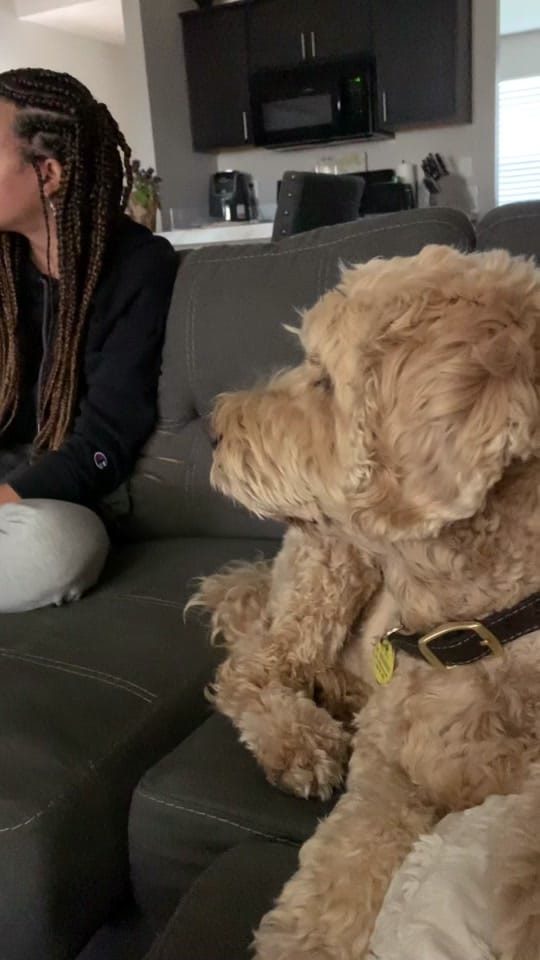 Post 10 by Gigi on TikTok (video)