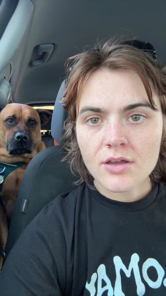 Post 9 by mollymartinsongs on TikTok (video)
