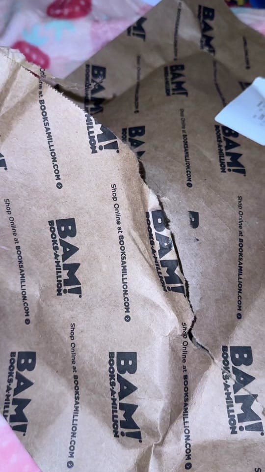 Post 6 by xoxokate.art🪷 on TikTok (video)