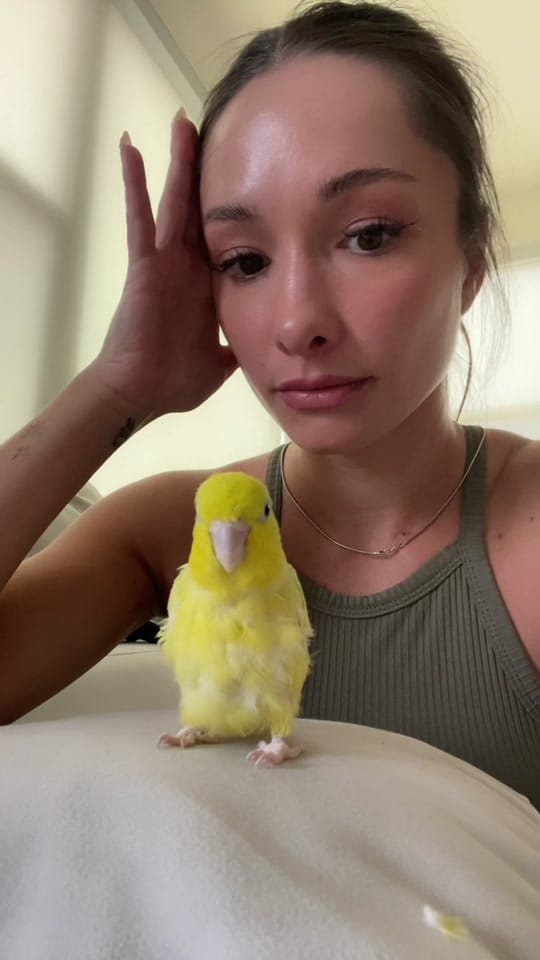 Post 2 by Denver tattoo artist on TikTok (video)