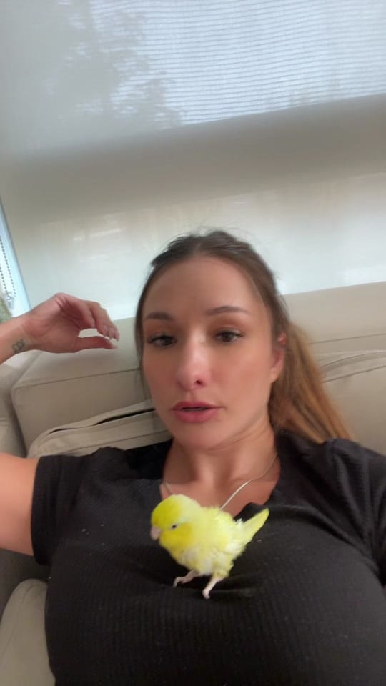 Post 9 by Denver tattoo artist on TikTok (video)