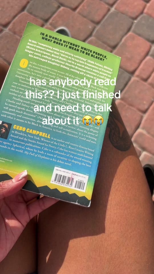 Post 1 by mikaylamalik 🎨 on TikTok (video)