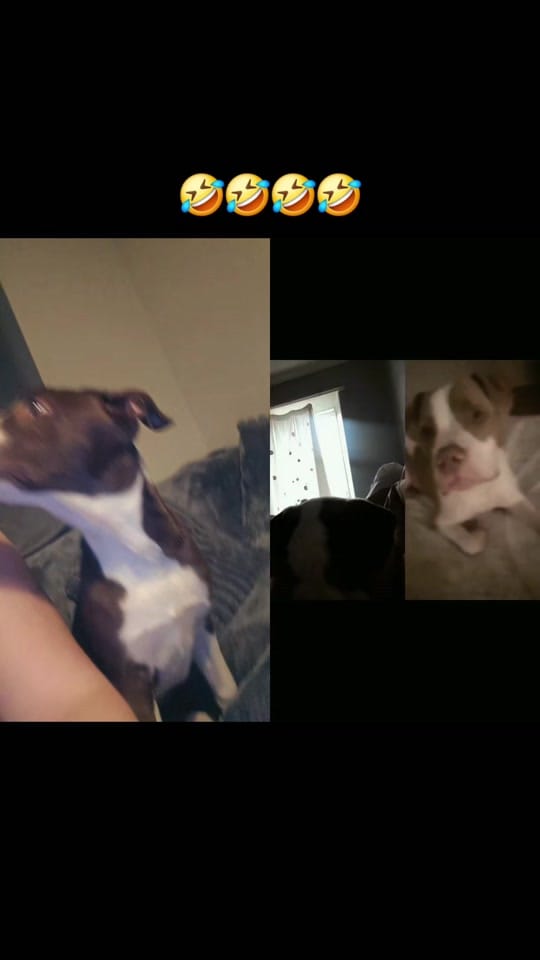 Post 6 by 🅼🅴🅶🆂♡ on TikTok (video)
