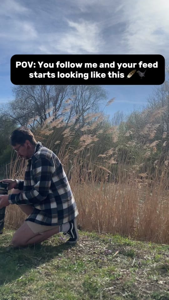 Post 5 by Alex_Scholz_Wildlife on TikTok (video)