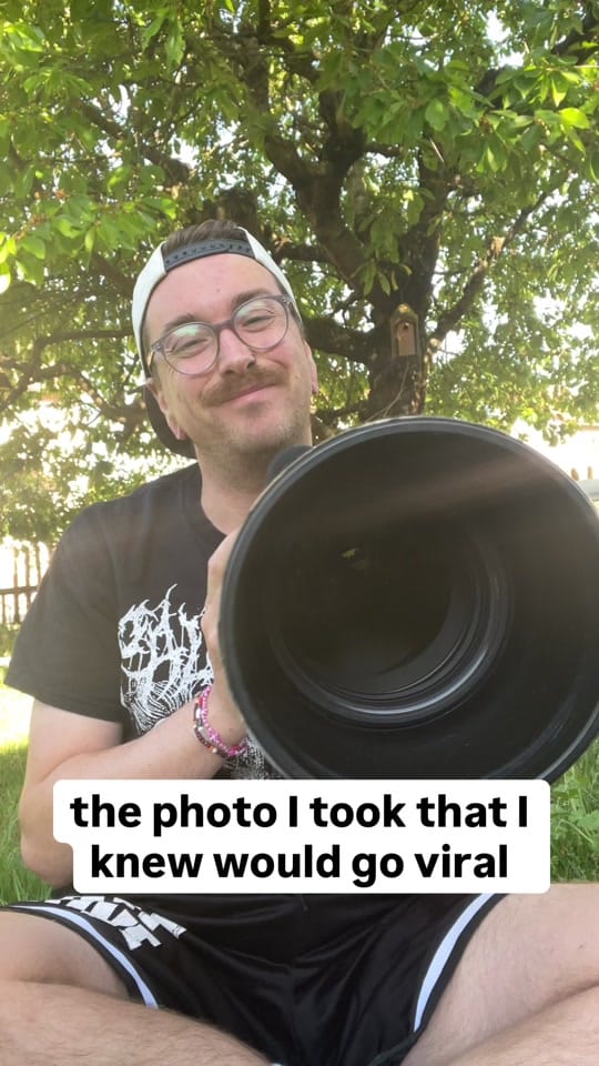 Post 4 by Alex_Scholz_Wildlife on TikTok (video)