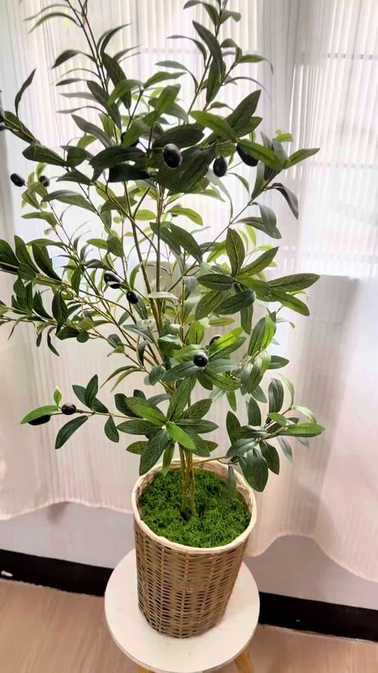 Post 8 by PinkBasket Ph on TikTok (video)