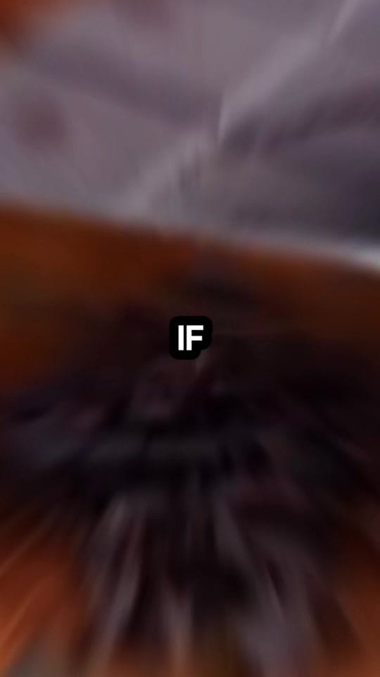 Post 7 by The Hair Lab on TikTok (video)