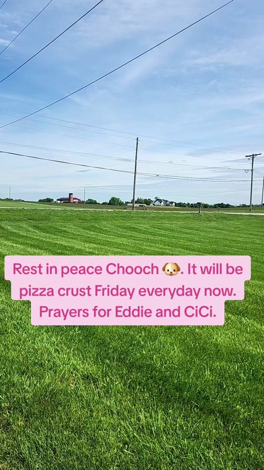 Post 8 by Kim 🌼💚🐘 on TikTok (video)