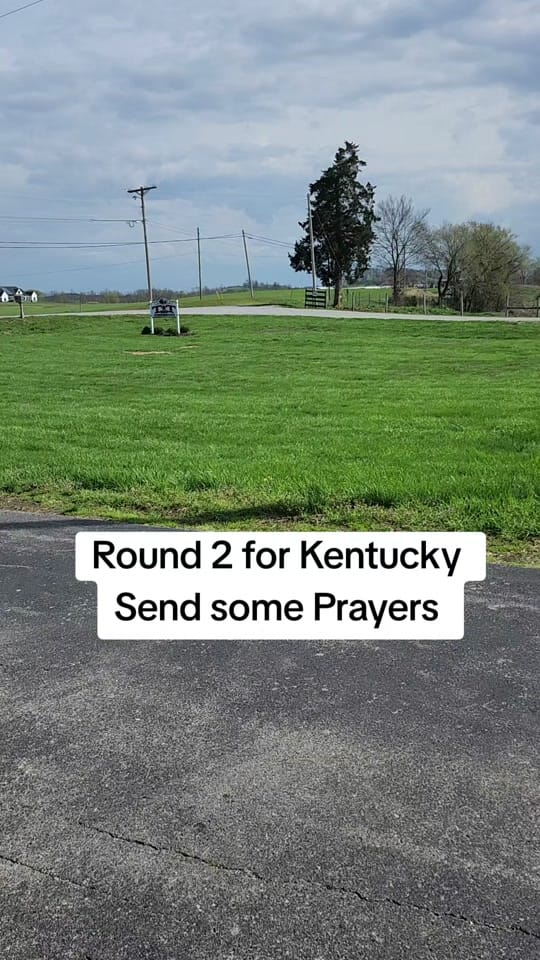 Post 9 by Kim 🌼💚🐘 on TikTok (video)
