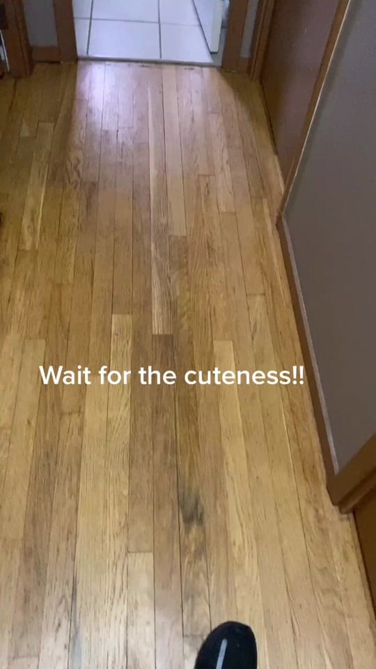 Post 3 by Nathan Varney on TikTok (video)