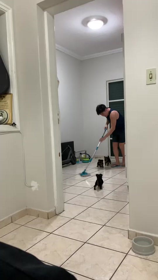 Post 5 by Venâncio Kim on TikTok (video)