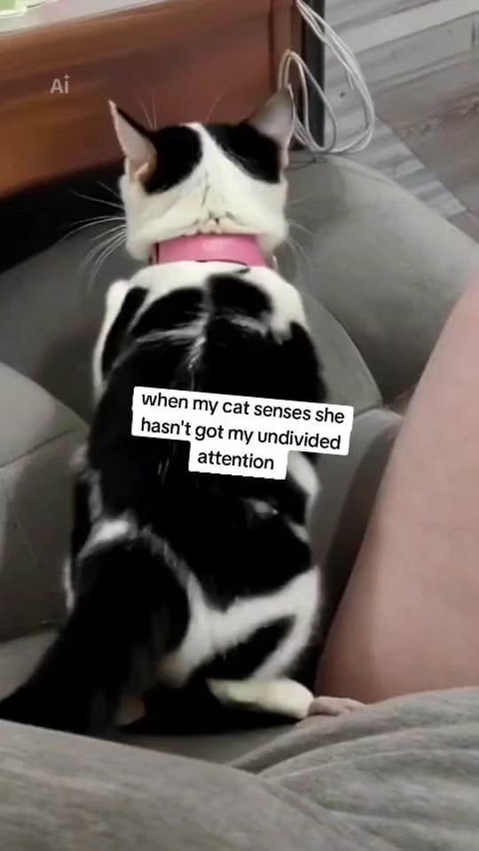 Post 5 by glenda on TikTok (video)