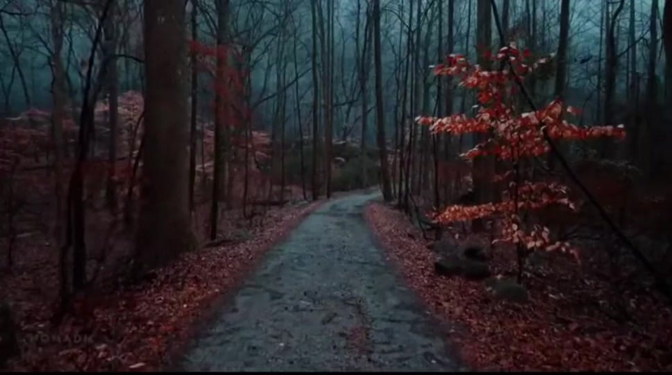 Post 9 by Scotty 🌎🔥 😇 on TikTok (video)