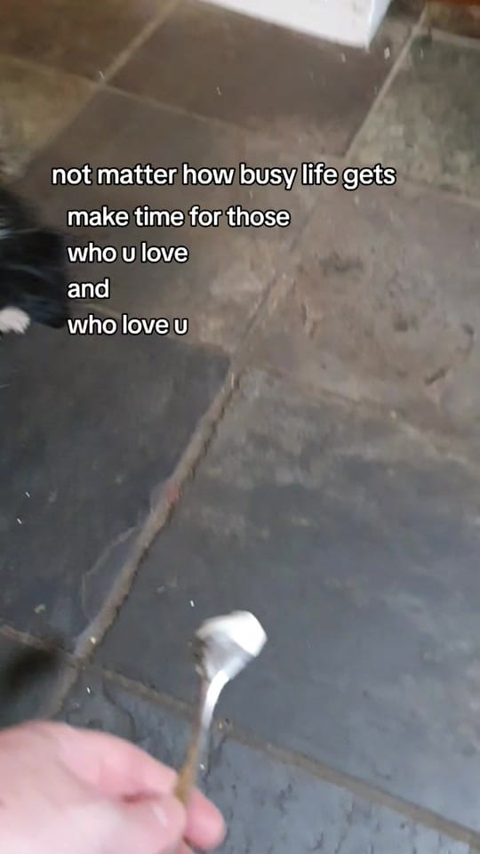 Post 10 by vet_fixmyleg on TikTok (video)