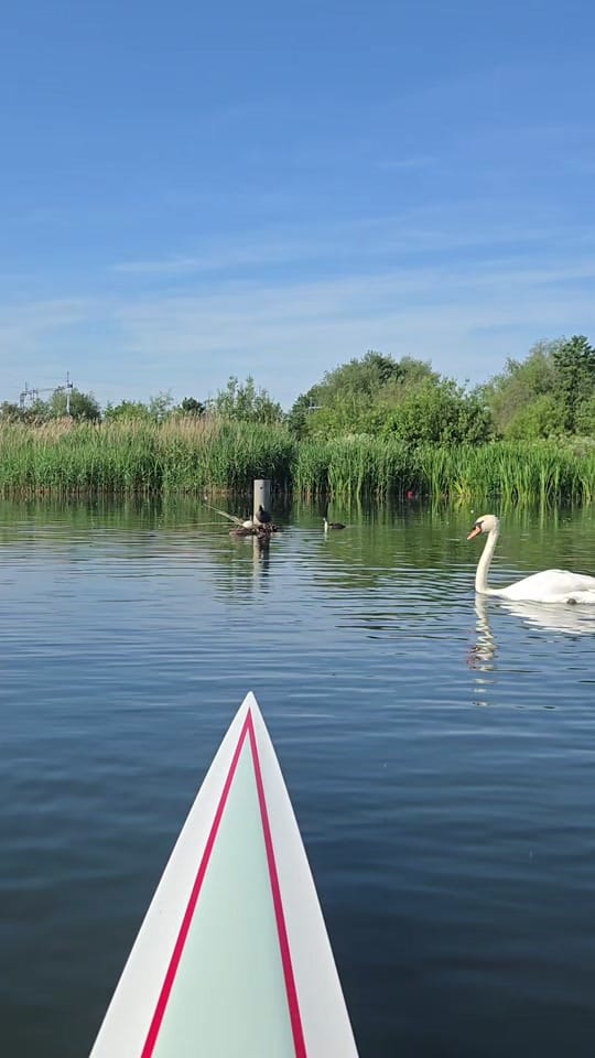 Post 8 by Imogen Grant | GB Rower on TikTok (video)