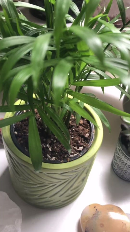 Post 7 by Ashley on TikTok (video)
