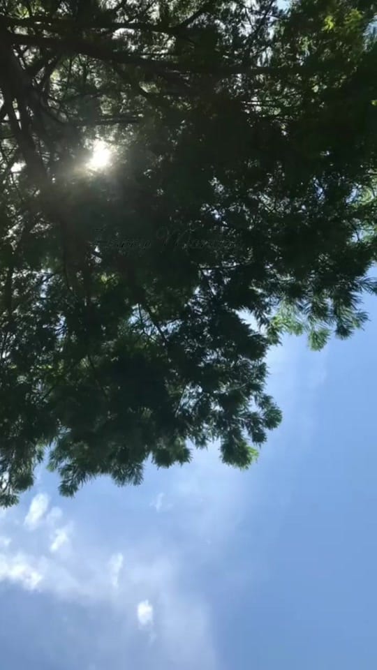 Post 5 by Ashley on TikTok (video)