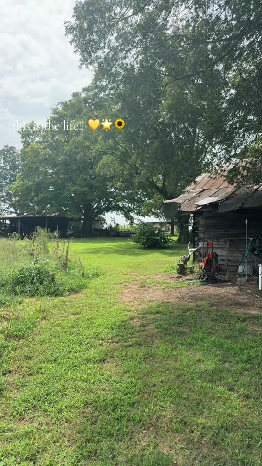 Post 4 by london on TikTok (video)