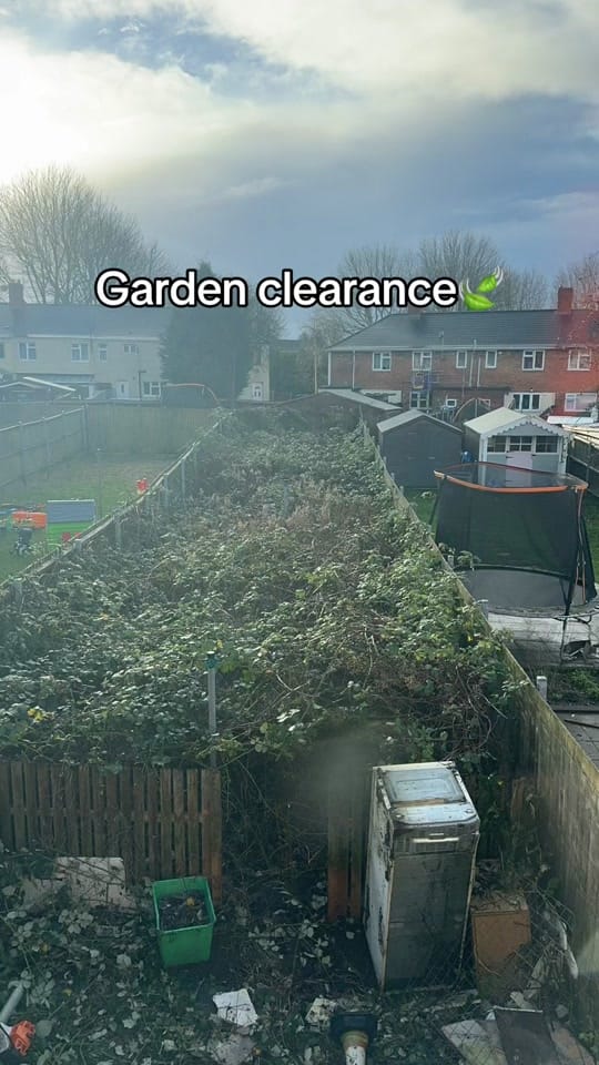 Post 10 by thetreefellauk on TikTok (video)