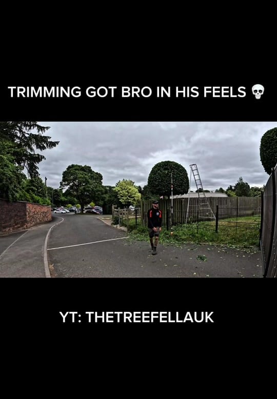 Post 6 by thetreefellauk on TikTok (video)