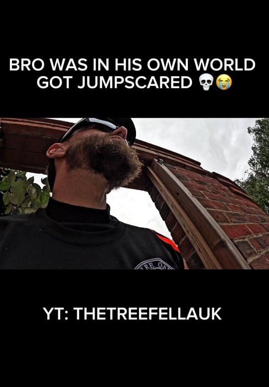 Post 7 by thetreefellauk on TikTok (video)